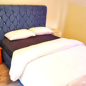 Habitación en casa particular Deluxe Dwelling - 15 Mins From City/airport, Cork